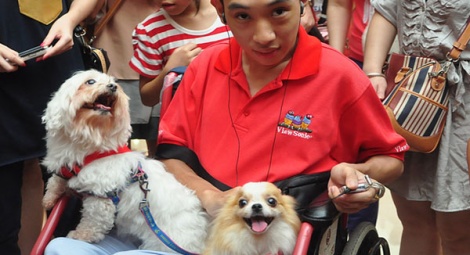 Our Dr Dogs greet their old friend, Xing, at the cat show.