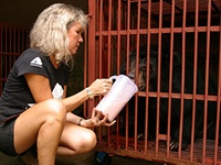Animals Asia - Donate Now