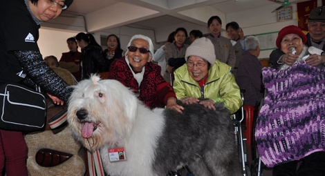 刘奶奶和汤奶奶尤其喜欢“狗医生”多多