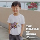 Miracle gifts for #MoonBearHeroes this Christmas