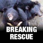 A resort in Vietnam is closing its bear enclosure leaving four bears in need of urgent rescue