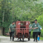 Five bears rescued from years of cruelty on a bear bile farm arrive at rescue centre
