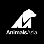 Animals Asia welcomes China animal welfare law reports (US)
