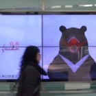 Beijing Airport hosts huge anti-animal performance display