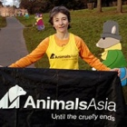 Animals Asia All-Stars tackling a marathon aim to overcome coronavirus obstacles to raise £10,000