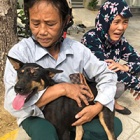 ACPA helps provide medical care for confiscated dogs following the largest ever bust of a dog theft ring by Vietnamese police