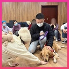Animals Asia’s ‘Dr Dogs’ help psychiatric patients in China for very first time