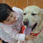 New generation of therapy animals makes the grade