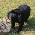 #MoonBearMonday: Hope’s scent for spring