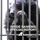 Inside Nanning: cages of shame, cells of solitude