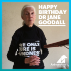 One life: A celebration of Dr Jane Goodall