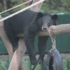 #Moonbearmonday: Joey takes some time out