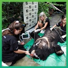 #Moonbearmonday: Lotus craves attention