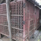 BREAKING NEWS: Animals Asia to rescue eight bile farm bears in Vietnam
