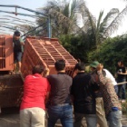 Animals Asia rescues 33 bears to end bear bile farming in Vietnam hotspot