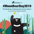 #MoonBearDay2019 is coming on August 8