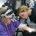 China Bear Rescue Centre receives a Specialist Ophthalmology Visit by Dr Claudia Hartley