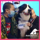 Professor Paws is back! The intrepid team teaches local families about the joy of companion animals and responsible dog care