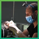 Staff at our Vietnam Bear Rescue Centre perform the first ‘in-house’ root canal surgery on a resident bear!