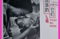 Click for Love: eine Straßenausstellung mit vielen liebevollen Fotos