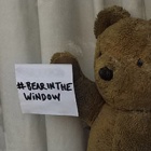 #BearInTheWindow pops up all across the world!