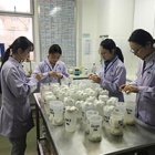 China vet training: 97 per cent had no concept of animal welfare