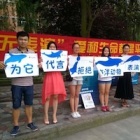 Chinese students pledge not to watch “Blackfish” perform