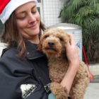 Chinese dogs enjoy vaccinations, de-worming – and a taste of Christmas