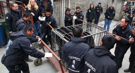 ... lifting it onto a wheeled cart.