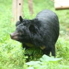 #moonbearmonday: Jonah puts the past behind him