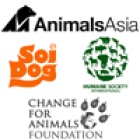 International Alliance Formed to End Dog Meat Trade in Key Countries