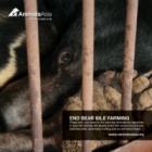 Raise your voice to help end bear bile farming