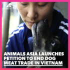 Ending the dog meat trade in Vietnam
