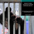 Report: Farmed bears aren’t farmed - they’re trafficked