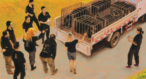 The rescued bears arrive at the sanctuary - an illustration taken from 