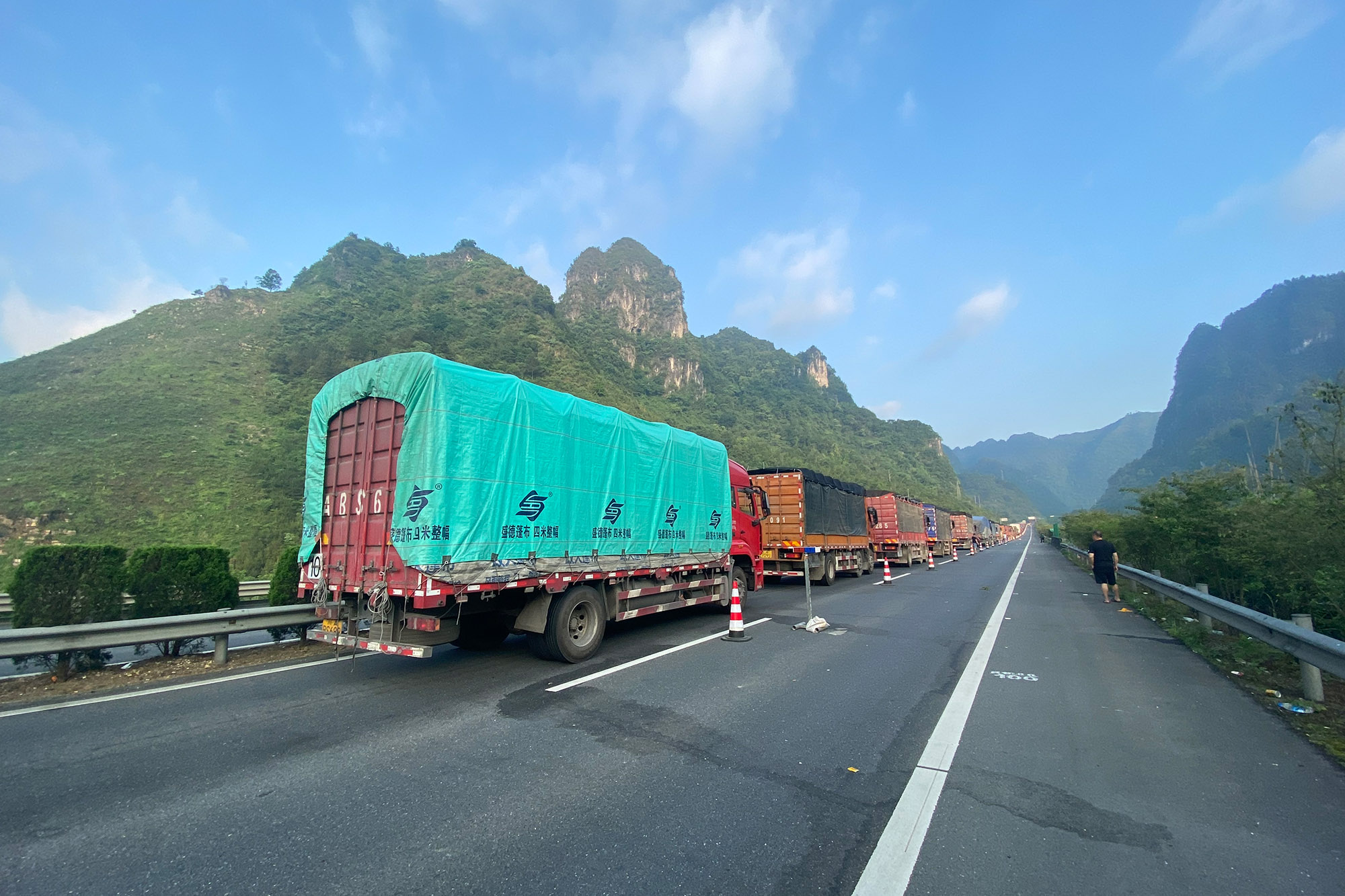 Bears moved in phase 2