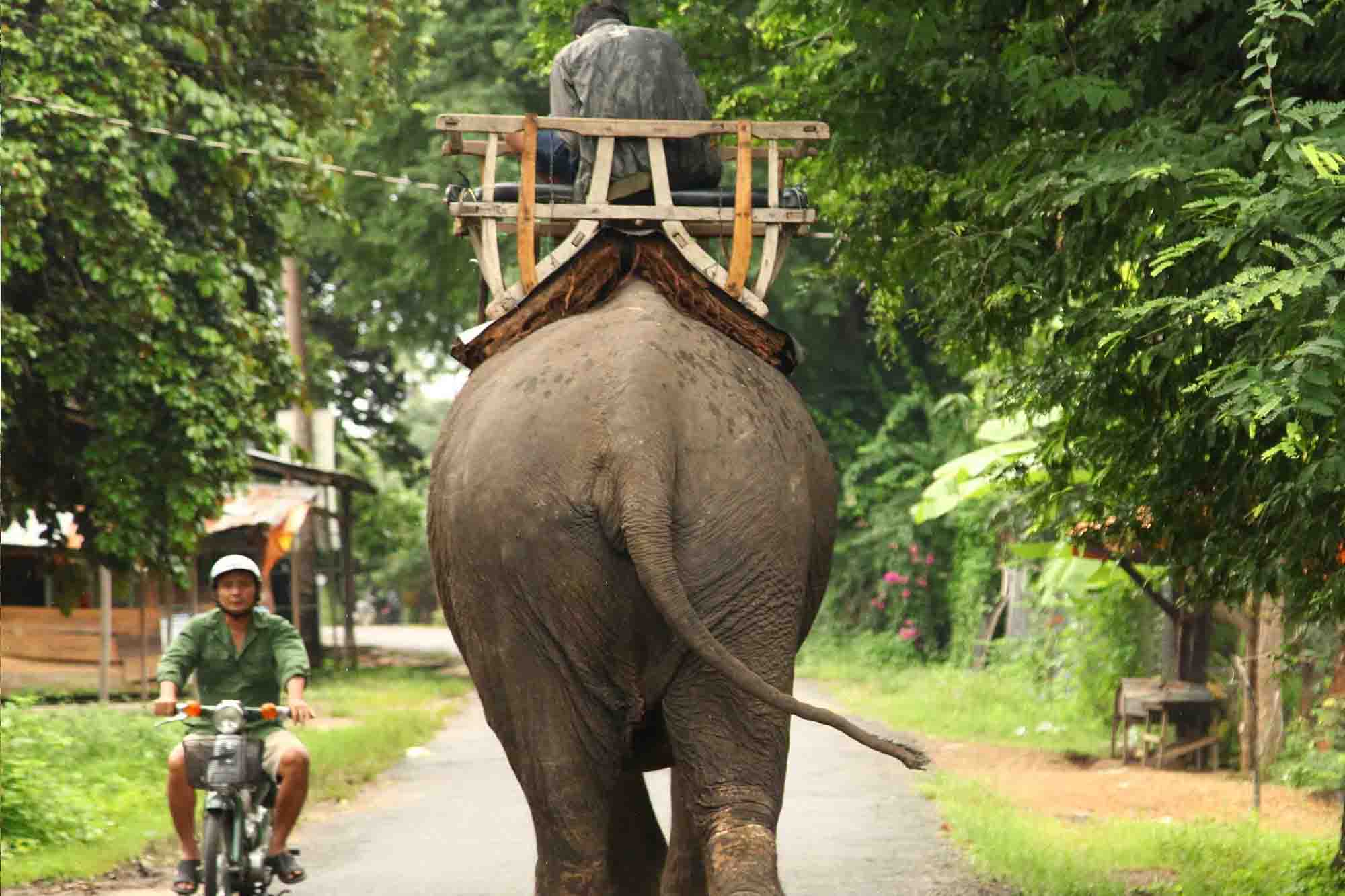 Yok Don National Park