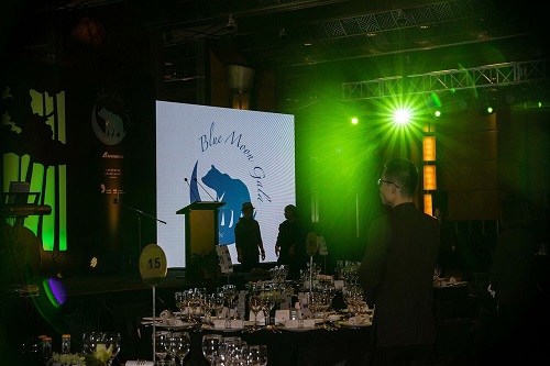 backdrop 1