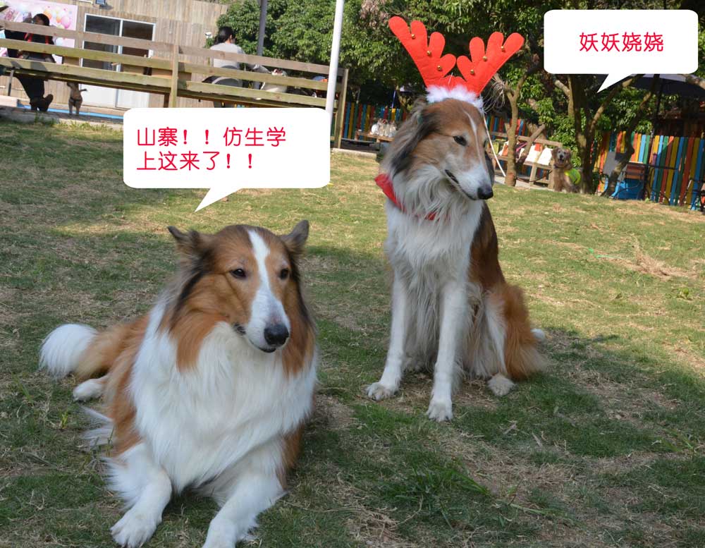 20141214shenzhenvolunteergathering