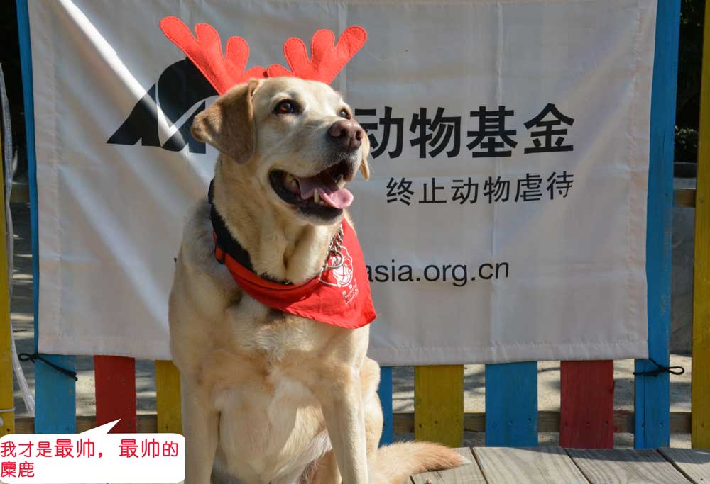 20141214shenzhenvolunteergathering