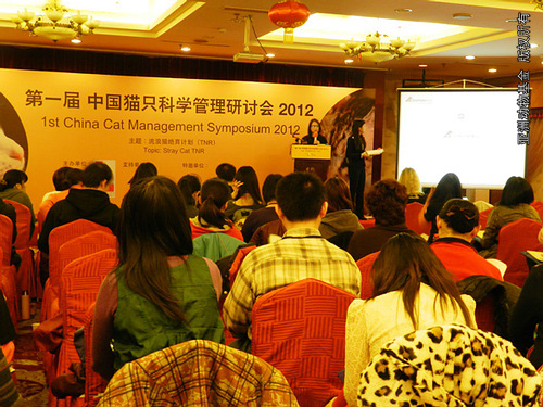 1st_cat_symposium