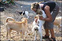 20050104indonesia_tsunami