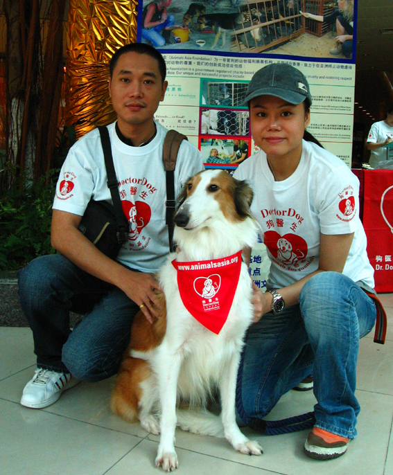 2007GZDDFEIPOZHU