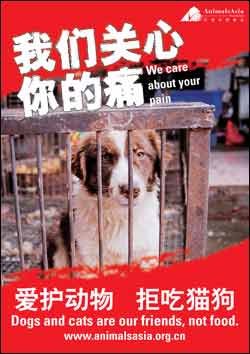 2007chengdu-noeat-catdog