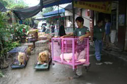 20080527wenchuan-earthquake