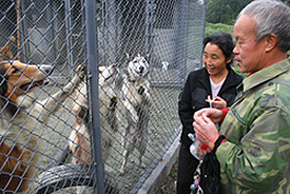 20081028wenchuan-earthquake