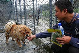 20081028wenchuan-earthquake