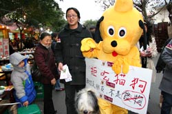 2008chengdu-noeat-catdog