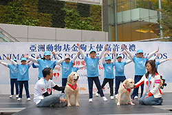2008hkdd-lifetime-achievement