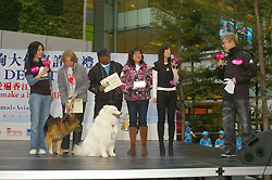 2008hkdd-lifetime-achievement